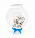 Sweet Teddy Balloon Gift Box